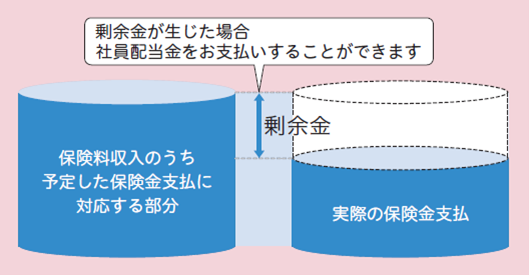 危険差配当金の例