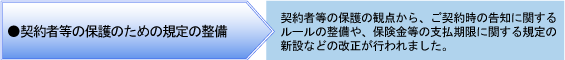 契約者等の保護のための規定の整備