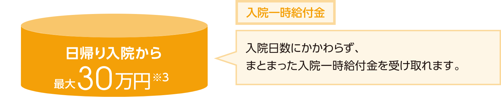 日帰り入院からまとまった一時金をお支払いし、さまざまな費用をサポート