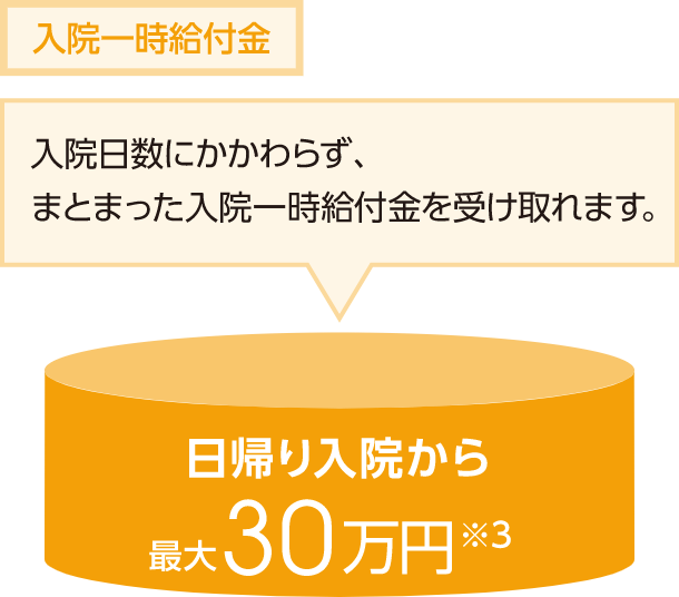 日帰り入院からまとまった一時金をお支払いし、さまざまな費用をサポート