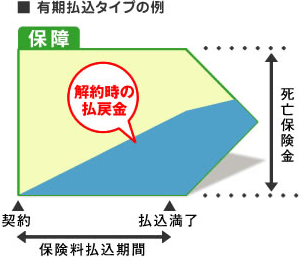 有期払込タイプの例