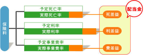 配当金