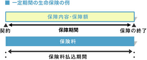 一定期間の生命保険の例