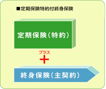 定期保険特約付終身保険