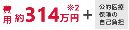 費用約314万円※2＋公的医療保険の自己負担分