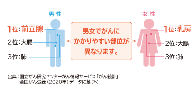 男女でがんにかかりやすい部位が異なります