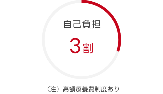 自己負担3割（注）高額療養費制度あり