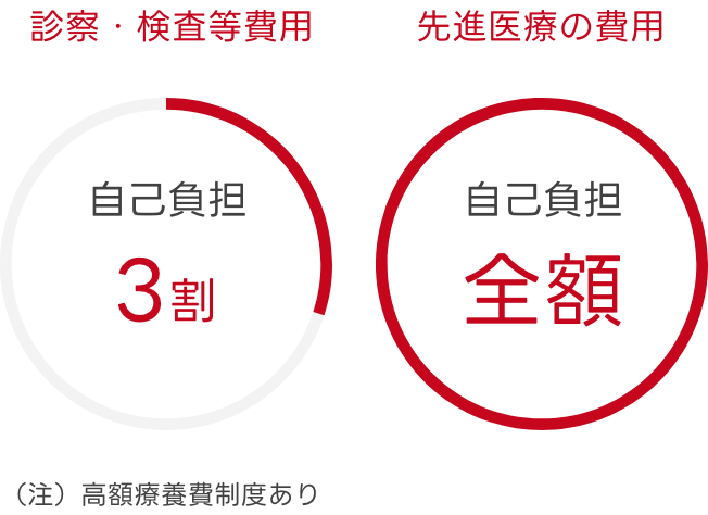 診察・検査等費用 自己負担3割（注）高額療養費制度あり 先進医療の費用 自己負担全額