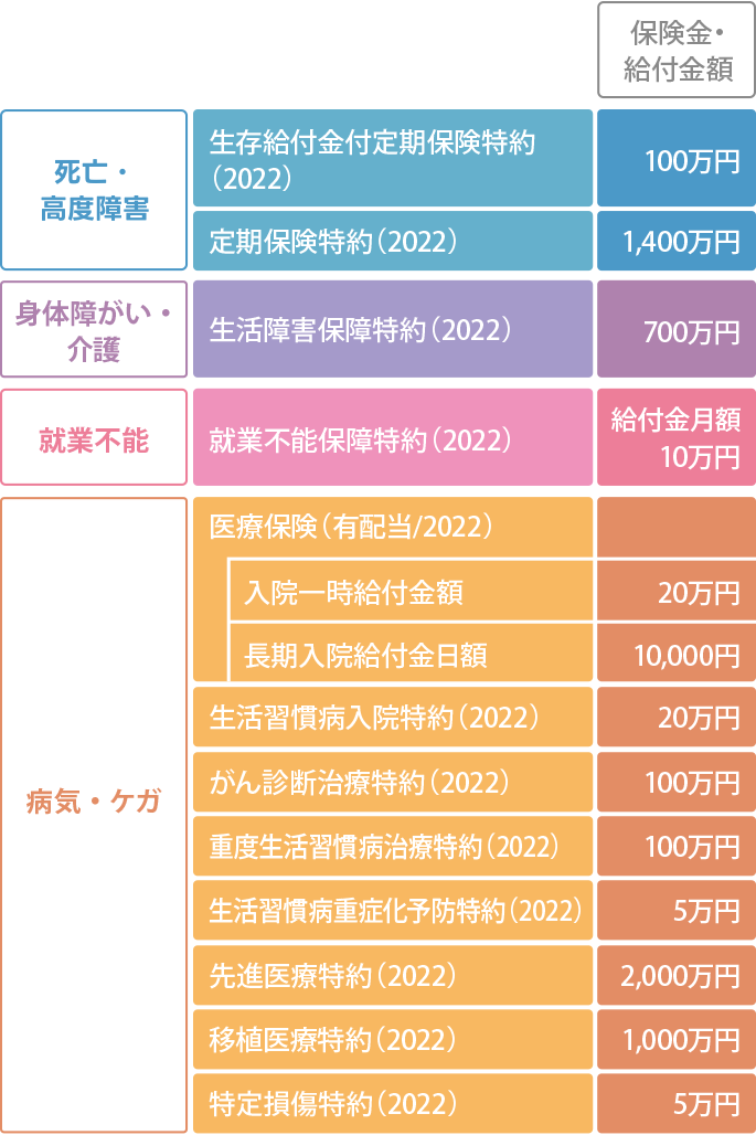 就職をきっかけに家族に負担をかけないために加入したAさんの場合