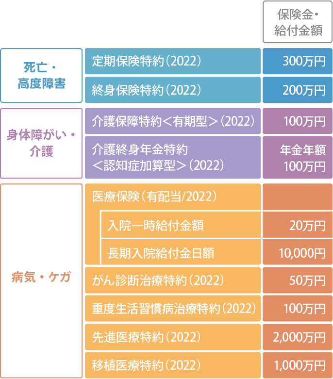 セカンドライフに向けて高齢層にとってリスクのある病気・ケガや介護を中心に加入したEさんの場合