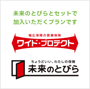 未来のとびらとセットで加入いただくプランです。