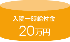 入院一時給付金20万円