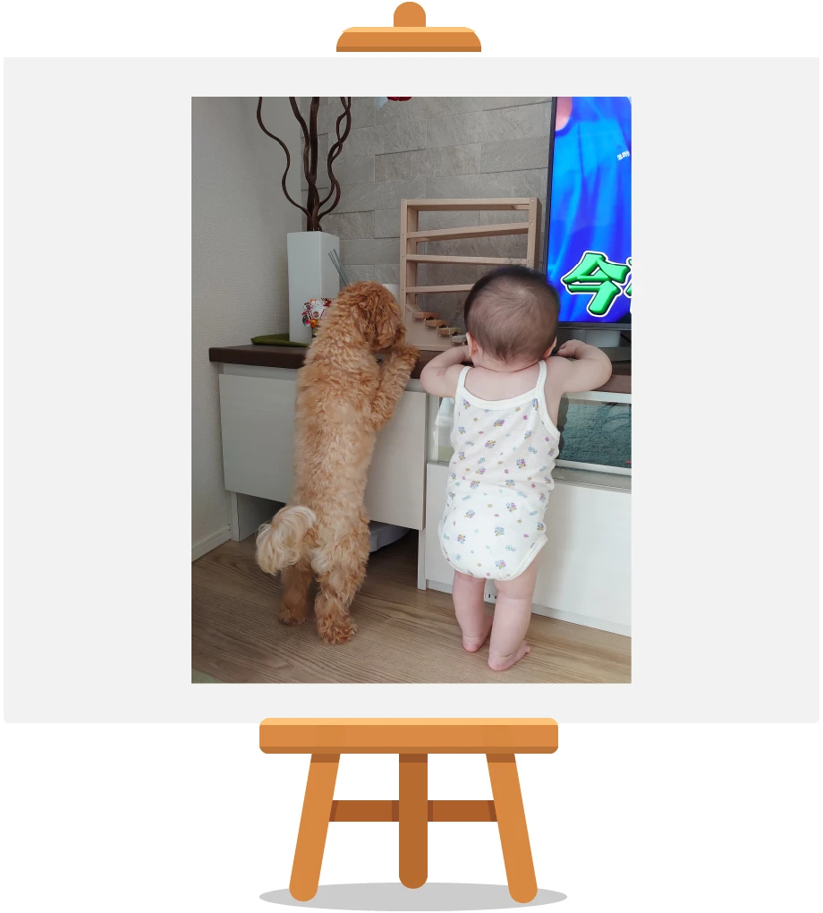 入賞作品